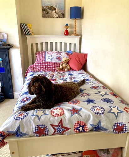 Hastings single bed - single, frame