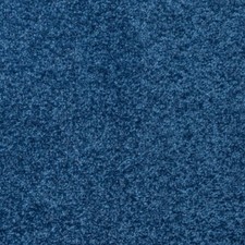 Carpet / Bedroom / Living Room