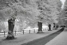 Nikon D70 infrared 720nm