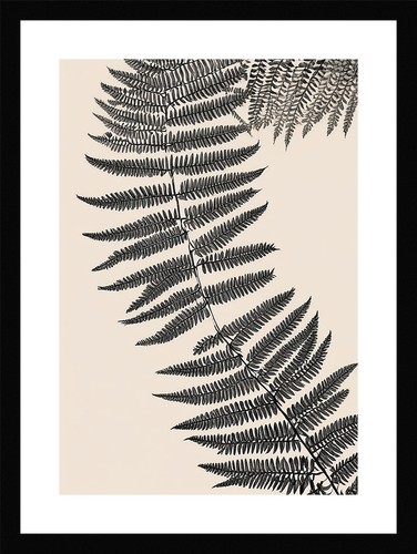 Graceful fern fronds print - fern,