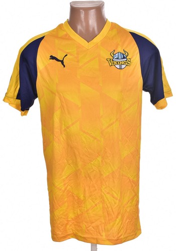 Cricket yorkshire vikings - yorkshire,