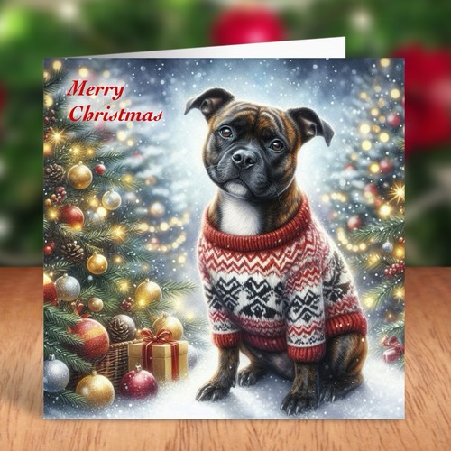 Staffordshire bull terrier dog - terrier,