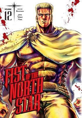 Fist the north star - fist,