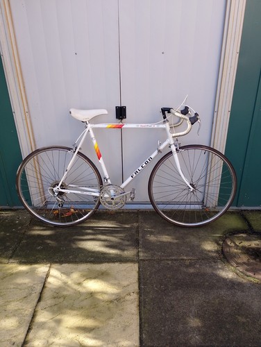1988 falcon olympic winner - 1988, 88