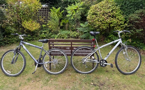 Pair apollo mountain bikes - pair,