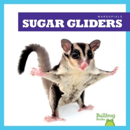 Natalie deniston sugar - natalie,
