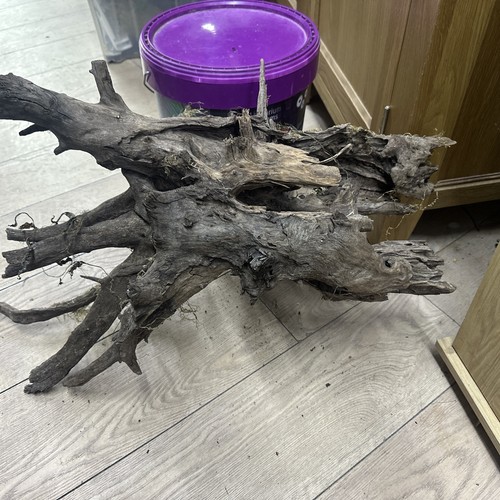 Gnarly scapers wood - gnarly,