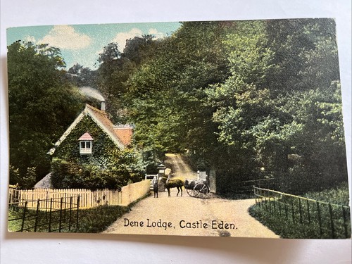 Dene lodge castle eden - lodge,