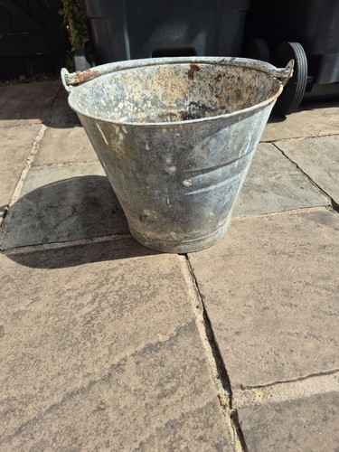 Vintage galvanised calf milk - galvanised,