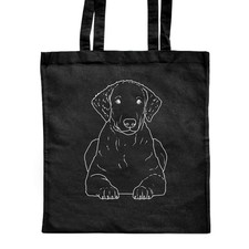 'Curly Coated Retriever'
