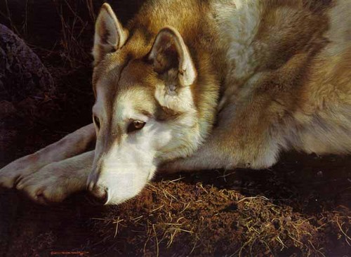 Carl brenders the - -,