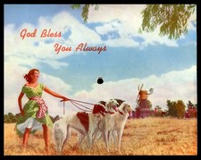 BORZOI RUSSIAN WOLFHOUND Dog &