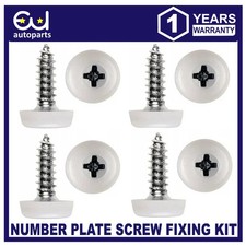 SET OF 4 NUMBER PLATE SCREWS
