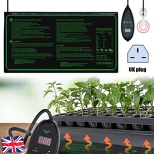 Garden Greenhouse Plant