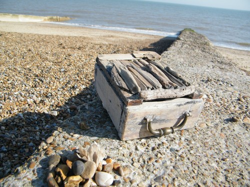 Driftwood box felixstowe beach - driftwood, box-felixstowe