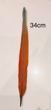 Parrot Macaw Feather Crafts