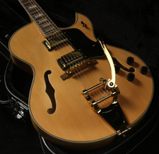 Custom Hollow Body Byrdland