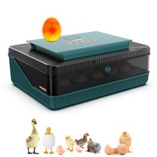 16/36 Eggs Digital Incubator