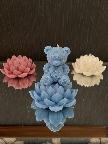 Teddy bear flower - teddy, soya