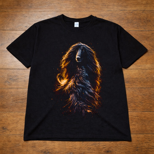 Afghan hound dog - afghan, t