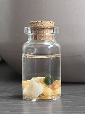 Ready To Ship, Micro Marimo Moss Balls, Plant Pet, Desktop Pet. Tiny.