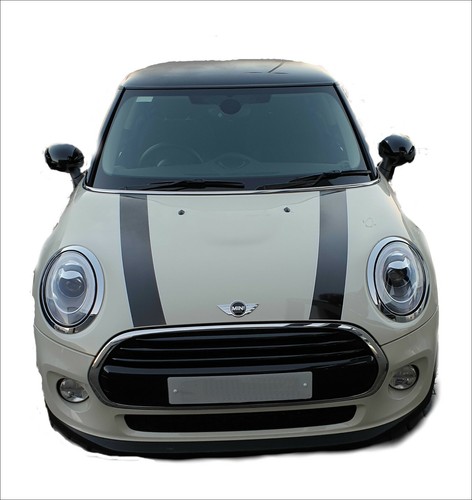 Vinyl viper stripes self - viper,