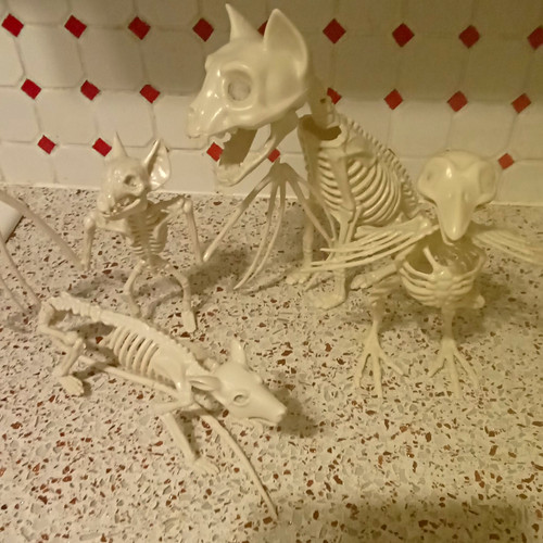 Halloween beige plastic animal - plastic,