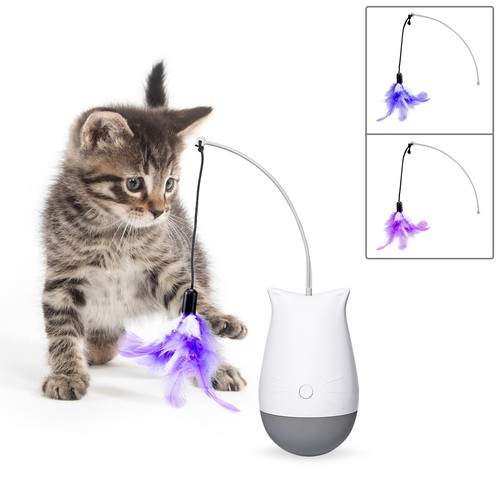 Cat interactive toys - cat,