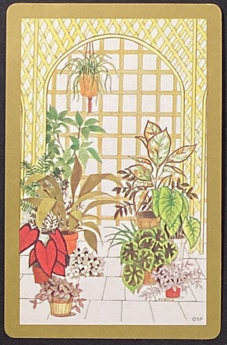 Indoor house plants vintage - indoor,