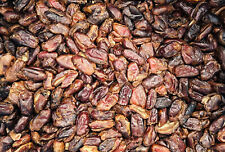 Dates 1kg 2kg 5kg 10kg BULK