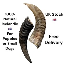 Lamb horn with - 2,