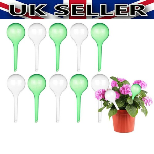 10x plant self - 10x, bulb