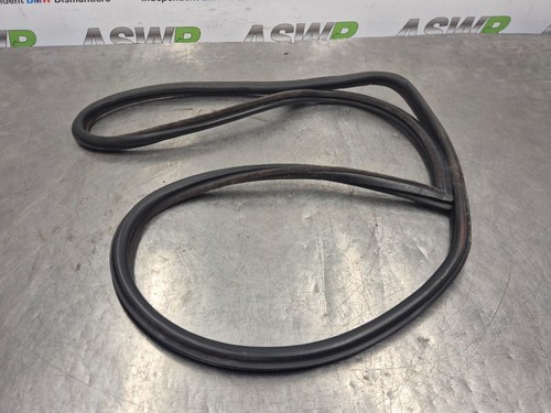Bmw front door - door, seal