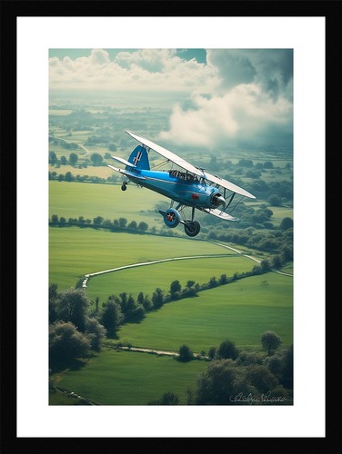 Vibrant biplane framed wall - biplane,