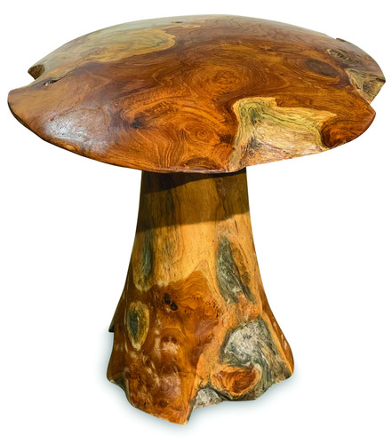 Extra large teak - root, mushroom