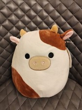 Ronnie 8" BNWT U.S Import Squishmallow