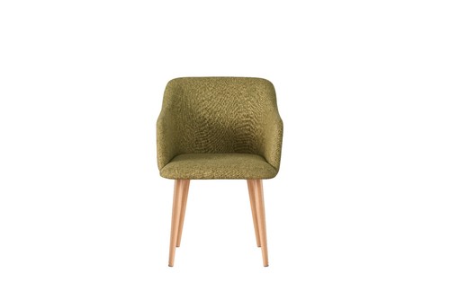 Armchair lounge chair - armchair,