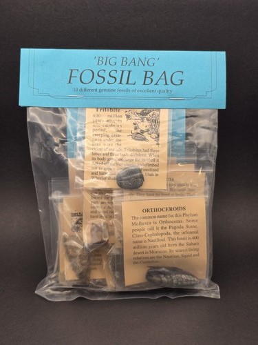 Big bang fossil - bag, –