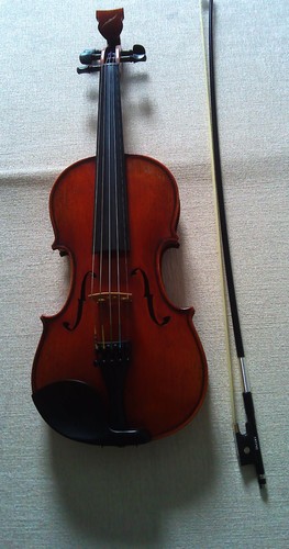 Bridge tasman 5 string - bridge,