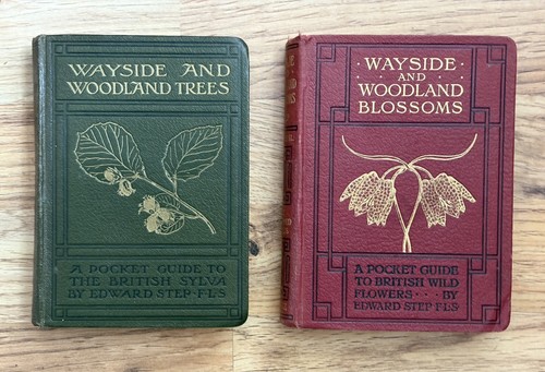 Wayside and woodland trees - and,