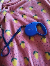 Blue Flexi Dog Lead Extendable/Retractable Pet Supplies 5metres