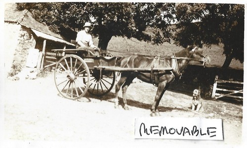 Vintage old photo man - old,