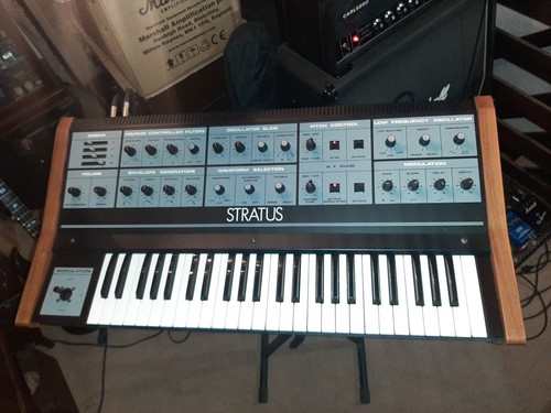 Crumar stratus analogue - crumar,