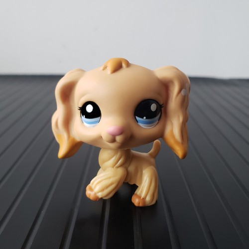 Littlest pet shop - shop, #1716