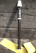  School Recorder Beginner.Aulos Traditional Instrument Music.School/Band/lessons