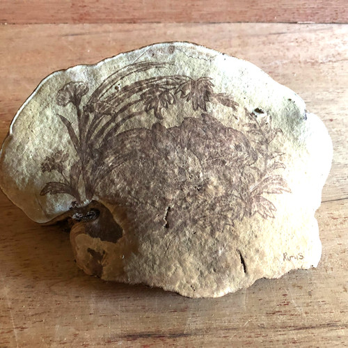 Conk shelf mushroom carving - conk,