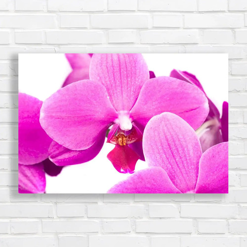 Stunning floral arrangements - stunning,