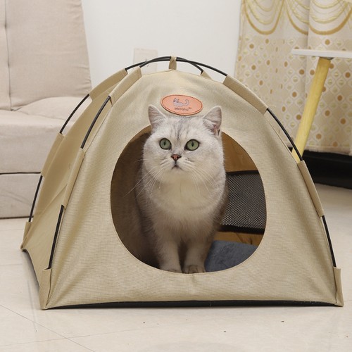 Pet tent cat - pet,