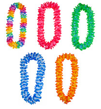 Hawaiian Lei Flower Garland