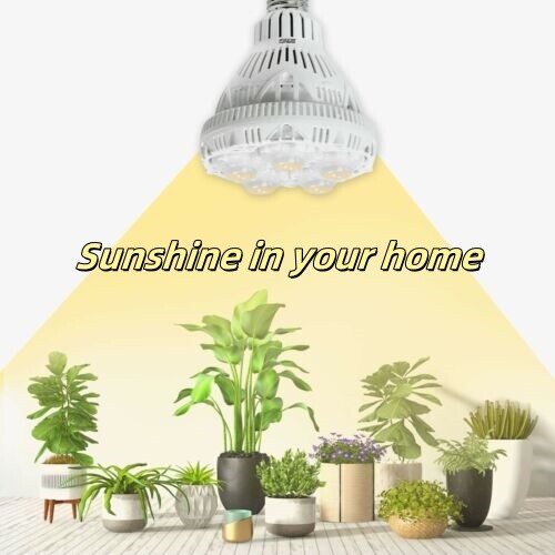 Sansi 24w led - led, full
